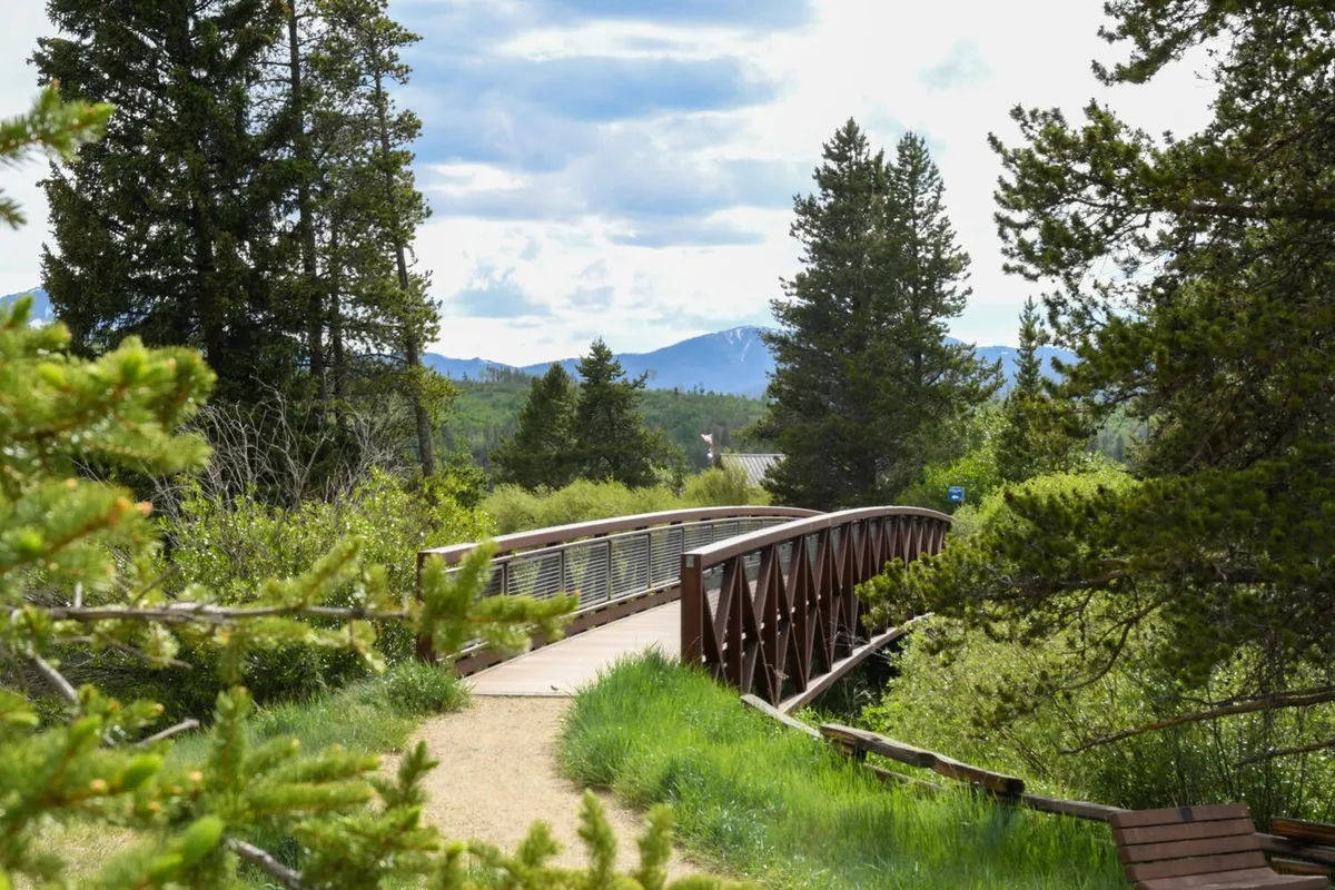 A serene wooden bridge stretches across a lush green landscape, surrounded by tall trees with a dramatic mountain backdrop in the distance. The setting captures the spirit of mountain exploration, inviting walks, and nature immersion—perfect for people and pets alike.